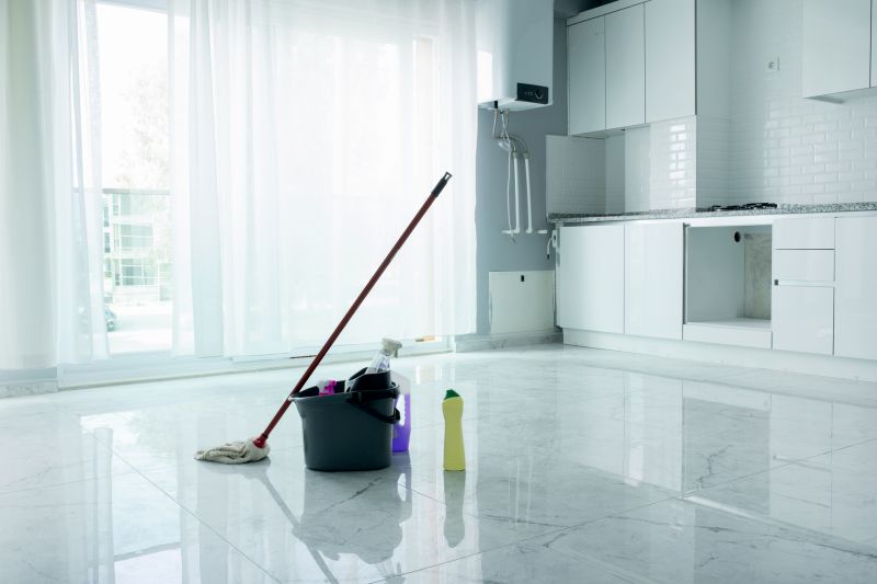 Townhouse Deep Cleaning in Renton, WA